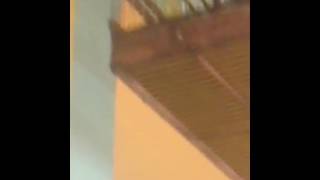 Cibite De Gloria Do Goita Patrick