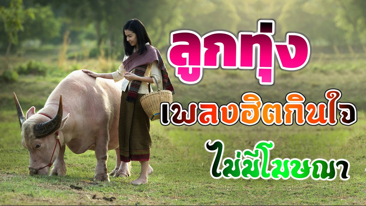 ลูกทุ่งเพลงเพราะมาก : รวมเพลง ลูกทุ่งฮิตที่สุด ฟังต่อเนื่อง ไม่มีโฆษณา