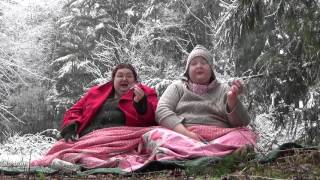 King Lewie - Weed Witches of Western Washington