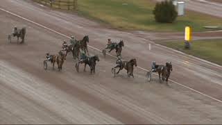 Vidéo de la course PMU PRIX LUNCHTRAPPAN - STAYERLOPP