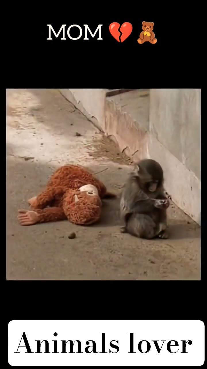 👬 عشق vs دوستی ❤ - ShareChat