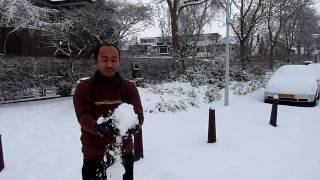 Just After Snowing In Leiden Holland