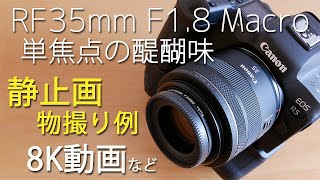 Canon RF35mmF1.8 Macro 静止画動画共に非常に良好な万能レンズ EOS R5にて撮影例解説