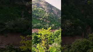 Yt Shorts Video Dheeraj Kanwar Vlog