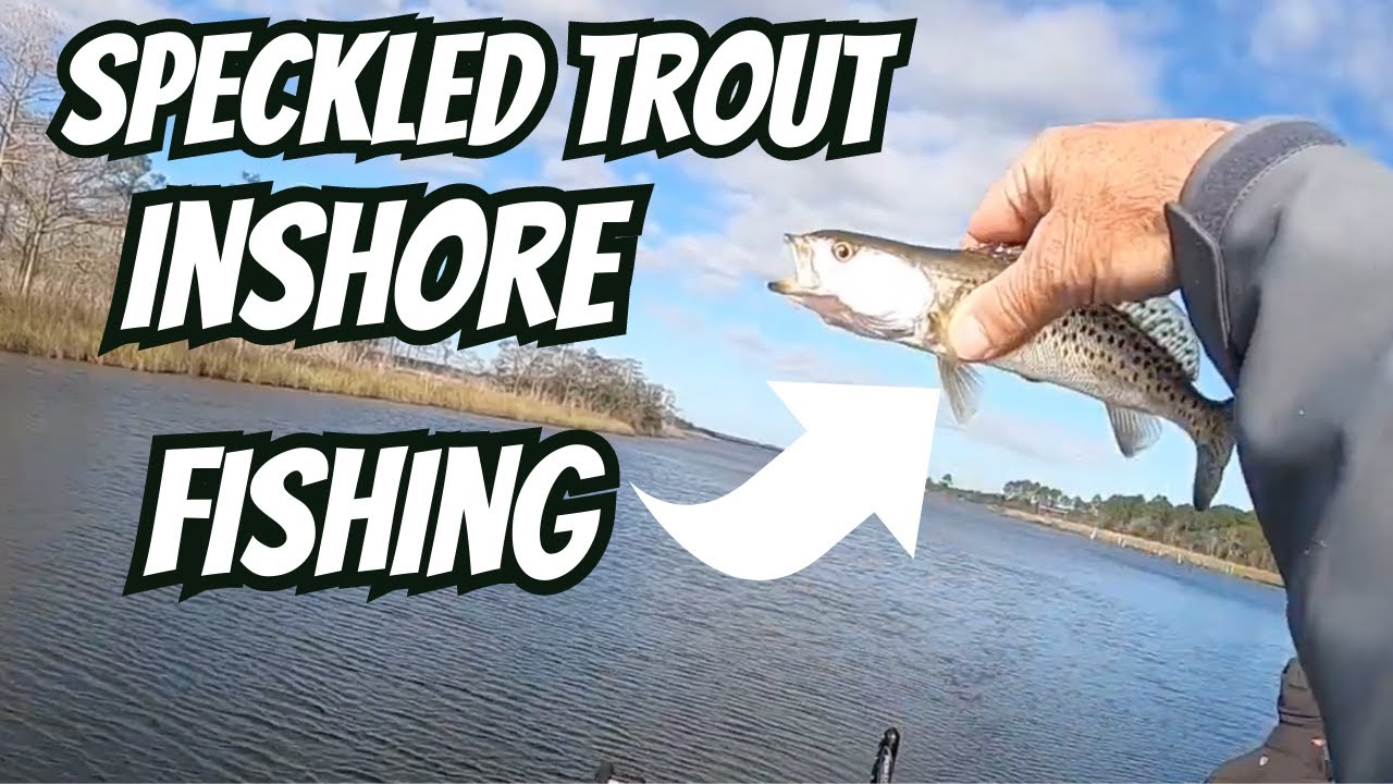 Speckled Trout Inshore Fishing 🎣 Pensacola, FL YouTube