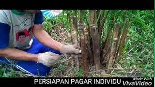 CARA PASANG PAGAR INDIVIDU KELAPA SAWIT YANG BENAR-turyono channel