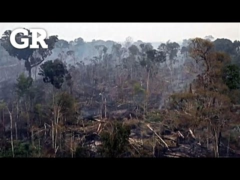 Registra Amazonas deforestación