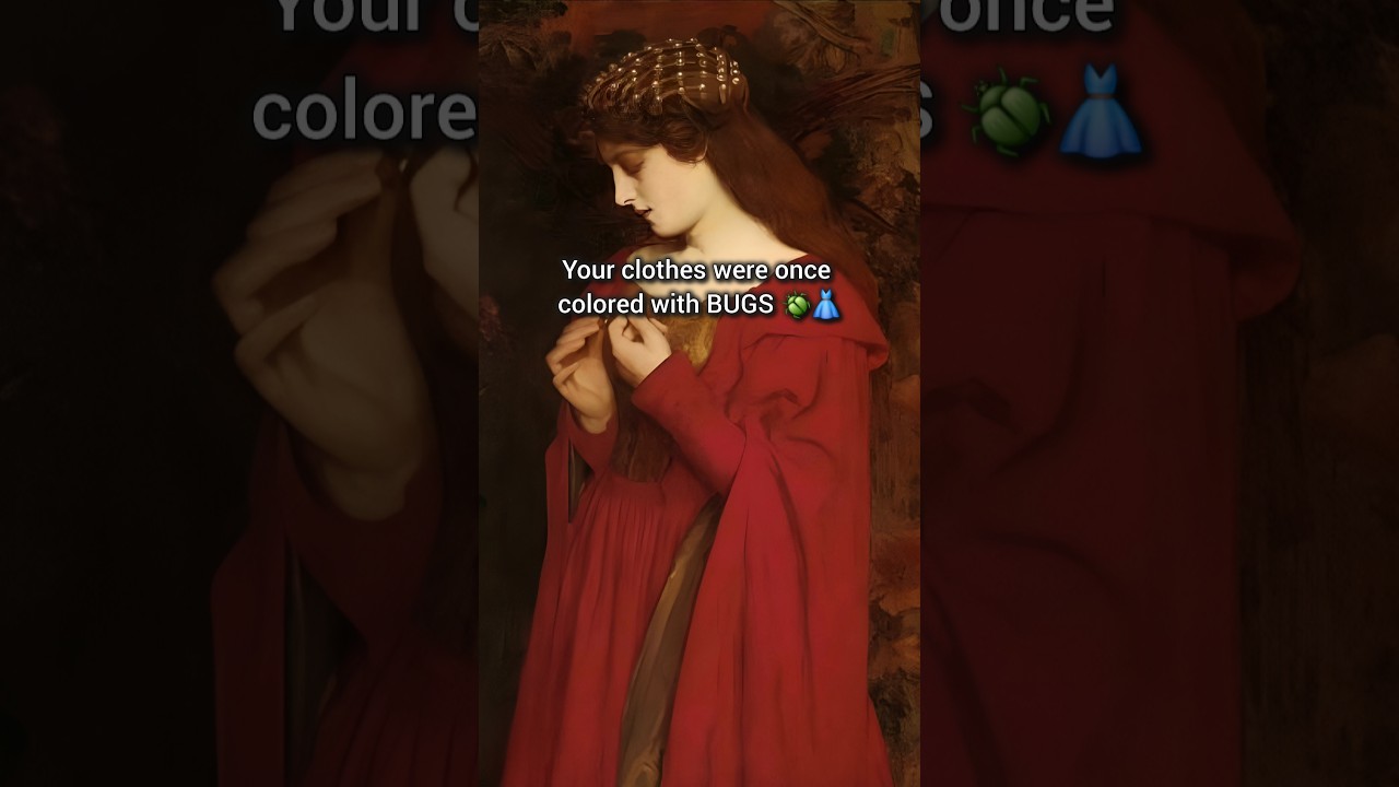 History of BUGS in Clothing 🤯