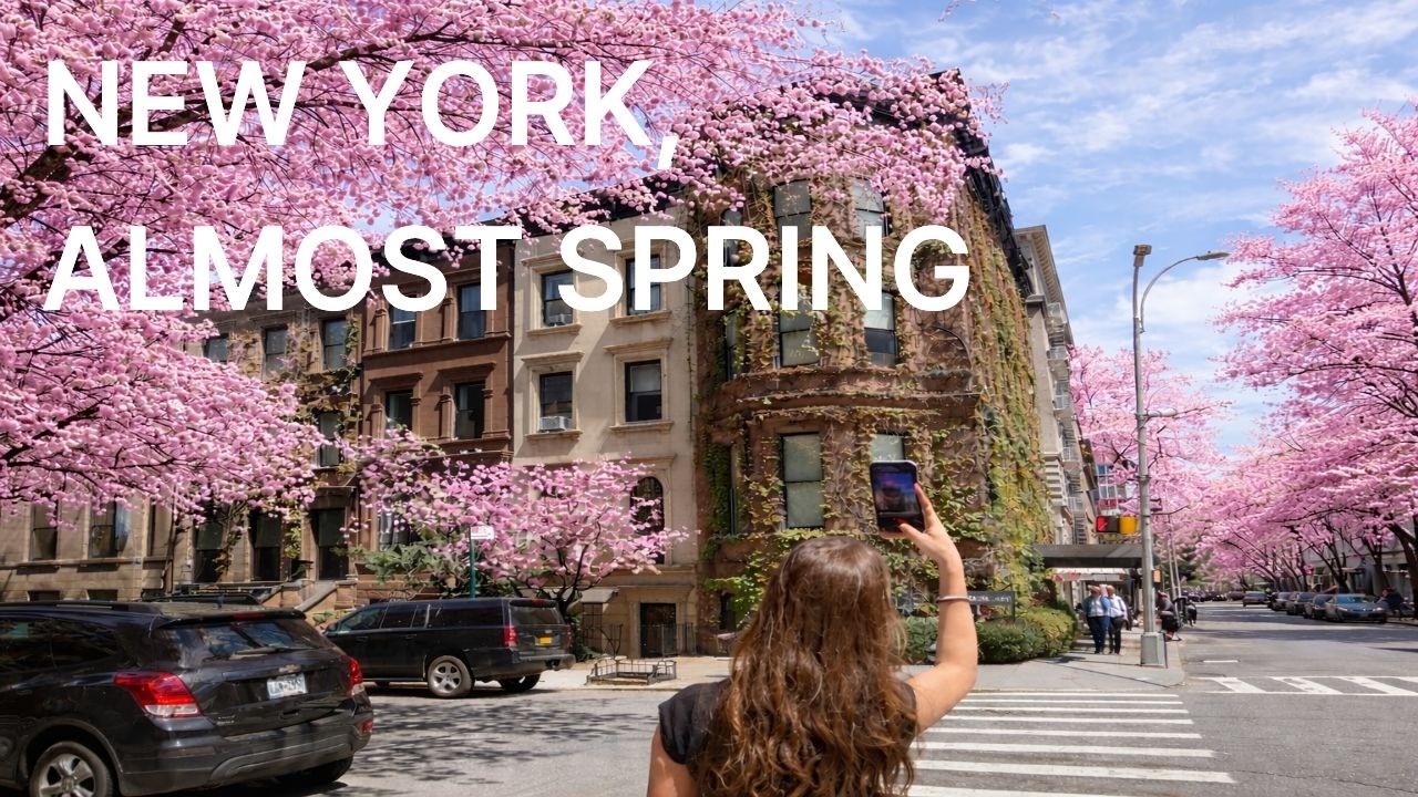 Playlist | 🔥 봄이 오기 직전, 가장 듣기 좋은 음악 🌸 카페 BGM · 매장음악·조용히 듣기 좋은🌿