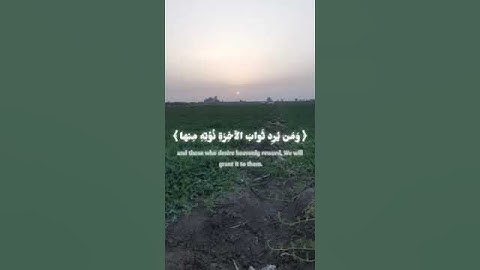 وما كان لنفس أن تموت إلا بإذن الله كتابا مؤجلا بصوت القارئ ادريس ابكر.....