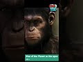 Rise of the planet of the apes curiosidades sobre la peli movie shorts
