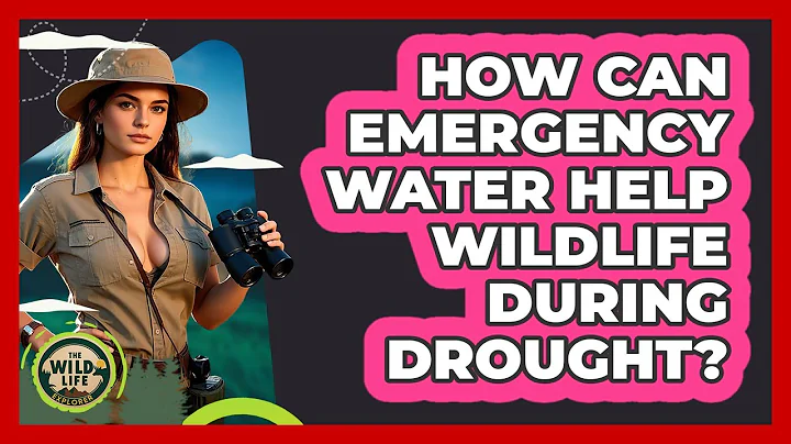 How Can Emergency Water Help Wildlife During Drought? - The Wild Life Explorer