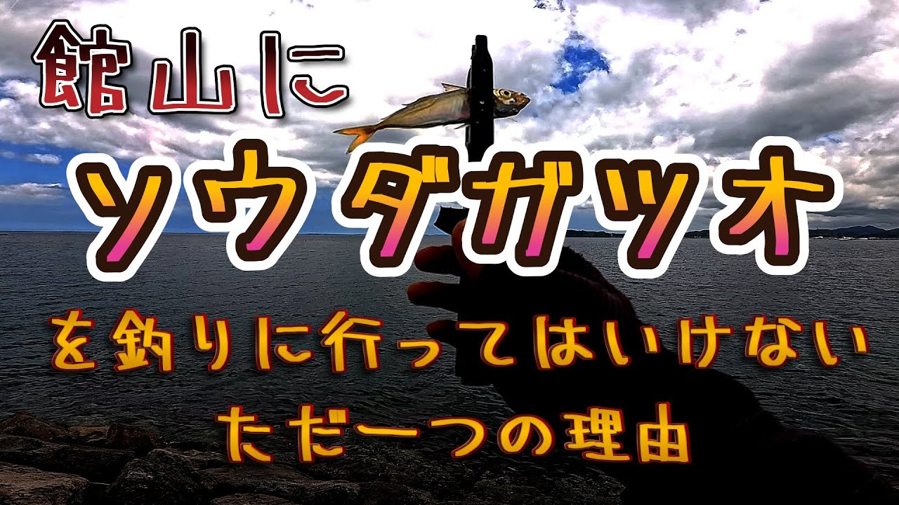 【館山】今年もこの季節がやって来た！！噂の現場でソウダガツオ大爆釣！！！　みたいなタイトルにしたかったヤツの動画