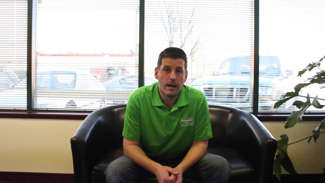 Refresh Carpet Cleaning How to Remove Pet Stains and Odors YouTube