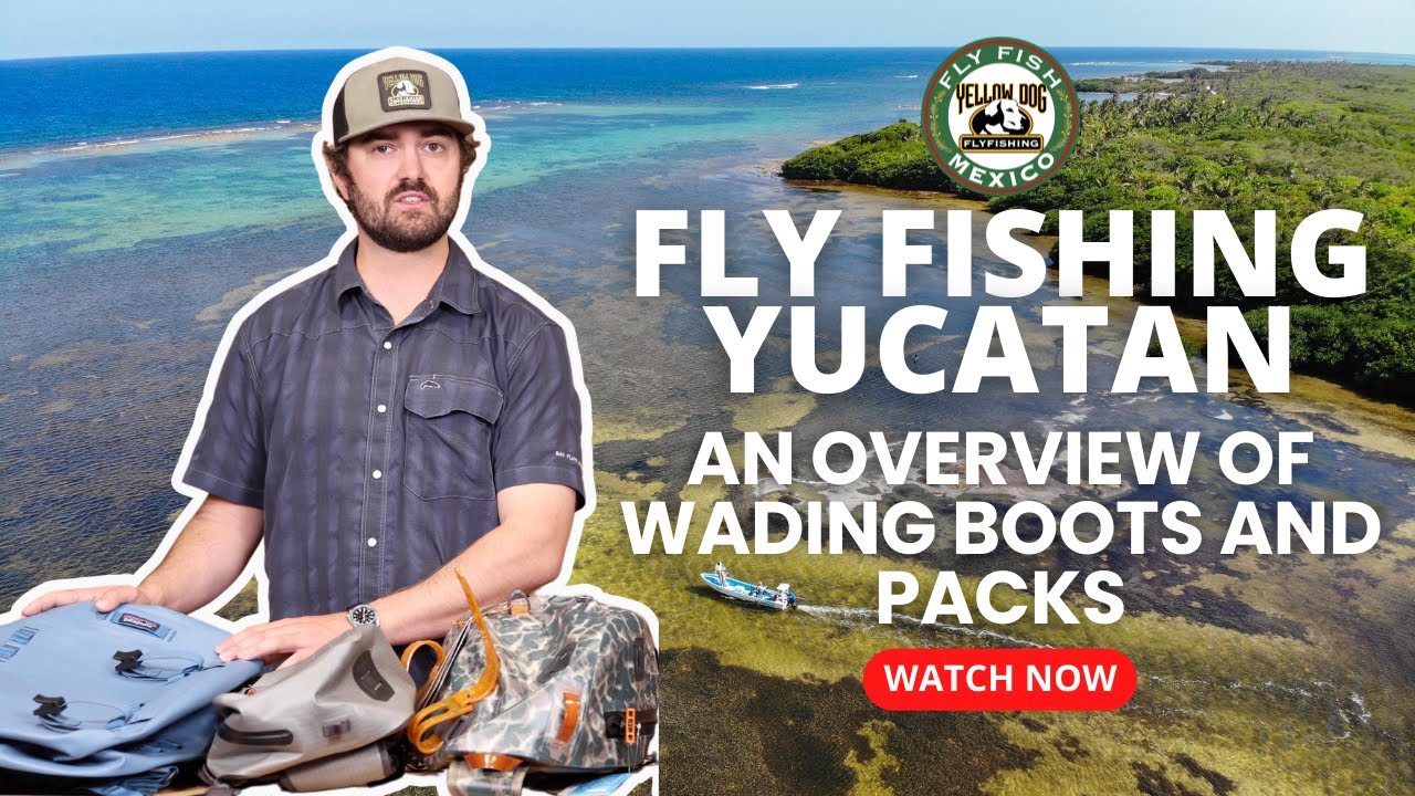 Selecting Packs and Wading Boots for Fly Fishing The Yucatan 