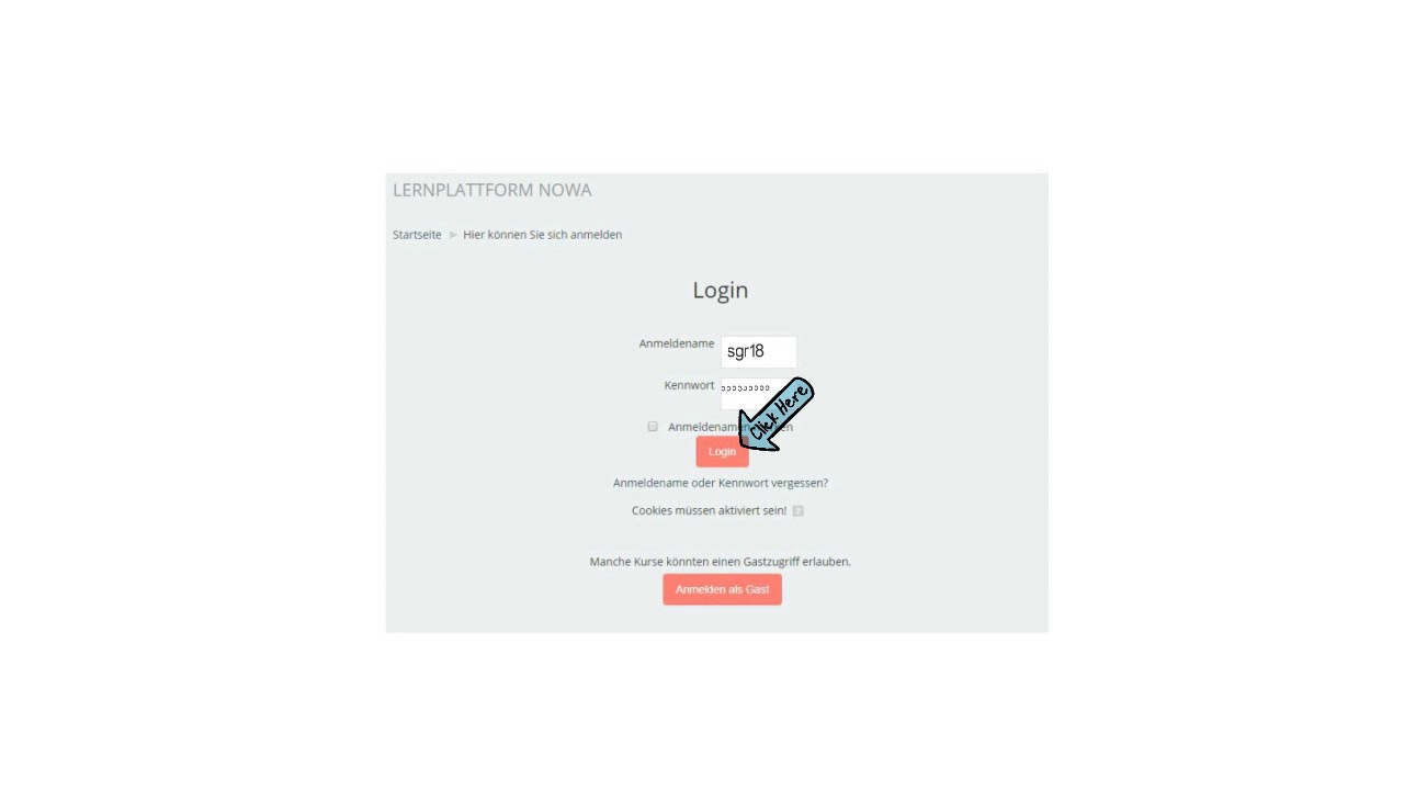 Moodle Einf hrung YouTube