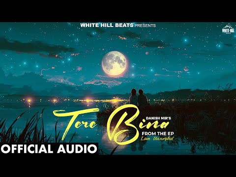 Tere Bina (Official Audio) Danish Mir | Estaque G | EP Love Unscripted | Sad Songs 2025