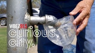Curious City: The 'fountain of youth' at Schiller Woods