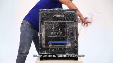 Wiiboox Vid01  Unboxing Guide