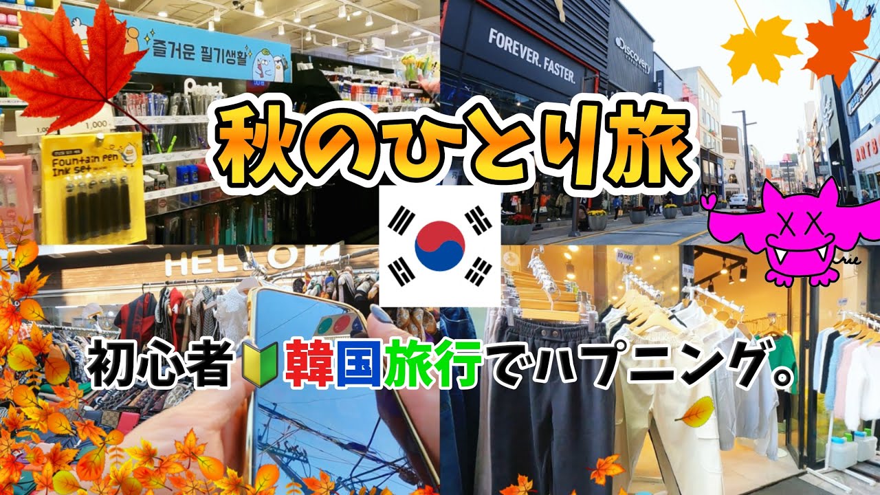 【韓国旅行vlog】😩まさかのお金が無い…ひとり旅で助けてもらう旅。観光におすすめのコース　韓国ひとり旅　韓国vlog