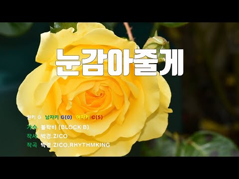 [은성 반주기] 눈감아줄게 - 블락비(BLOCK B)