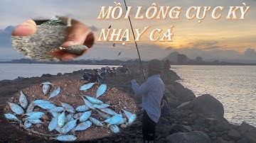 Câu Cá Biển - Cách Làm Mồi Lông Câu Cá Trích Cá  Song Xanh - Câu  Gần Bờ Cực Kỳ Hiệu Quả
