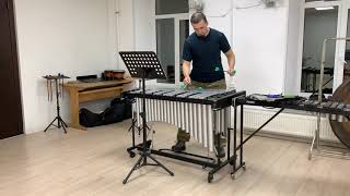 VIBRAPHONE Orchestral Excerpts [Selected] (2020, Spb, Russia)
