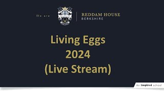 Reddam House Berkshire  Living Eggs 2024  Live Stream  Day 2