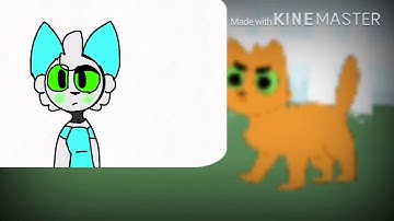 Fire heart get to keep the kitten he found “ reaction “(first video)