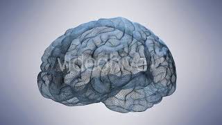 Wireframe Brain | Motion Graphics - Videohive template