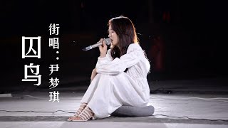 Download Lagu 街头观众现场点唱《囚鸟》，把感情唱得如此卑微！听得让人上头！ MP3