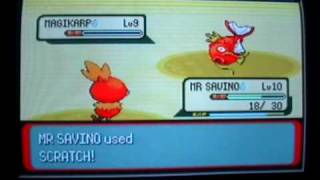 Jz And Xms Pokemon Emeraldrubysapphire Walkthrough Episode 3 Petalburg City To Petalburg Woods