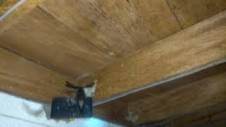 Panggil tarik CB 02 SPSI by adi S KM