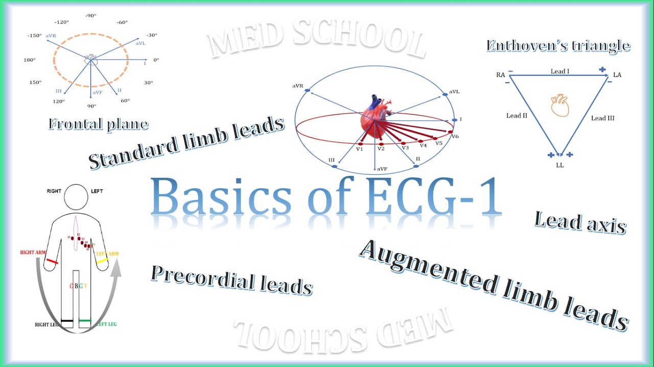 Basic of ECG Part 1