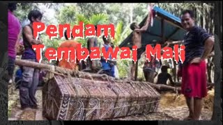 Download Lagu Penyelaie Pendam Tembawai Mali MP3