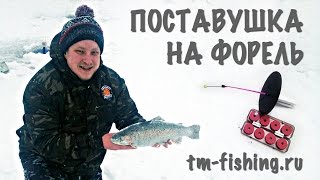 Поставушка на форель. Зимняя Рыбалка