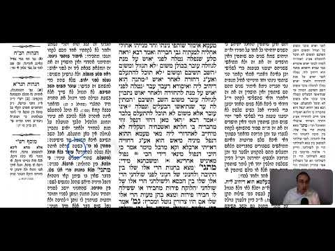 Bava Metzia 26b - Youtube
