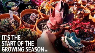 #6 The changing seasons