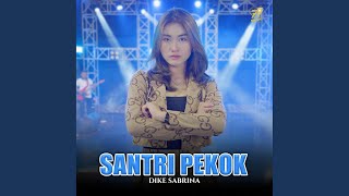 Santri Pekok