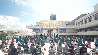 ひよどり凪の海　法政大学出版会 ひよどり凪の海 法政大学出版会