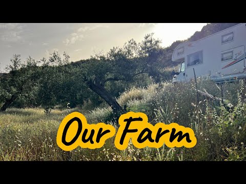 From Santander to Our Andalusia Farm: First Look at Our Overgrown Paradise!
