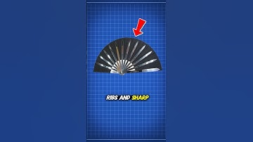 De dodelijkste fan uit de geschiedenis - Tessen