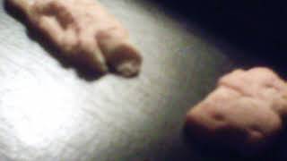 When Animal Crackers Attack episode 9