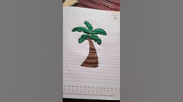How to draw a Tropical Palm tree for beginner