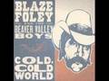 Blaze Foley Cold Cold World mp3