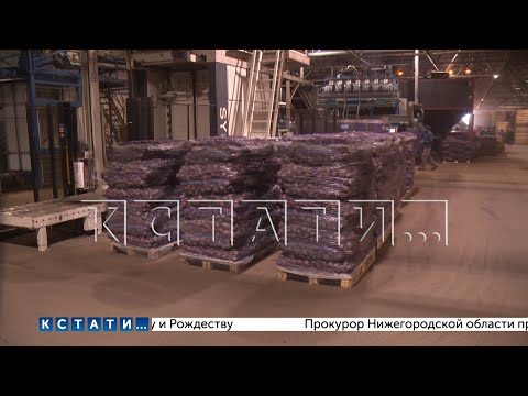 В Нижегородской области