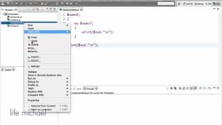 Lexical Variables in Perl