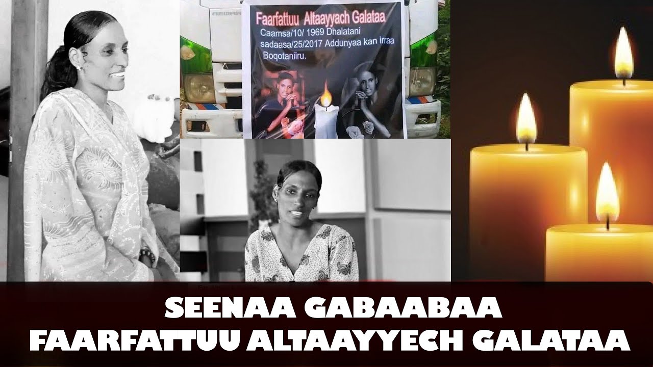 Seenaa Gabaabaa Faarfattuu Altaayyech Galataa