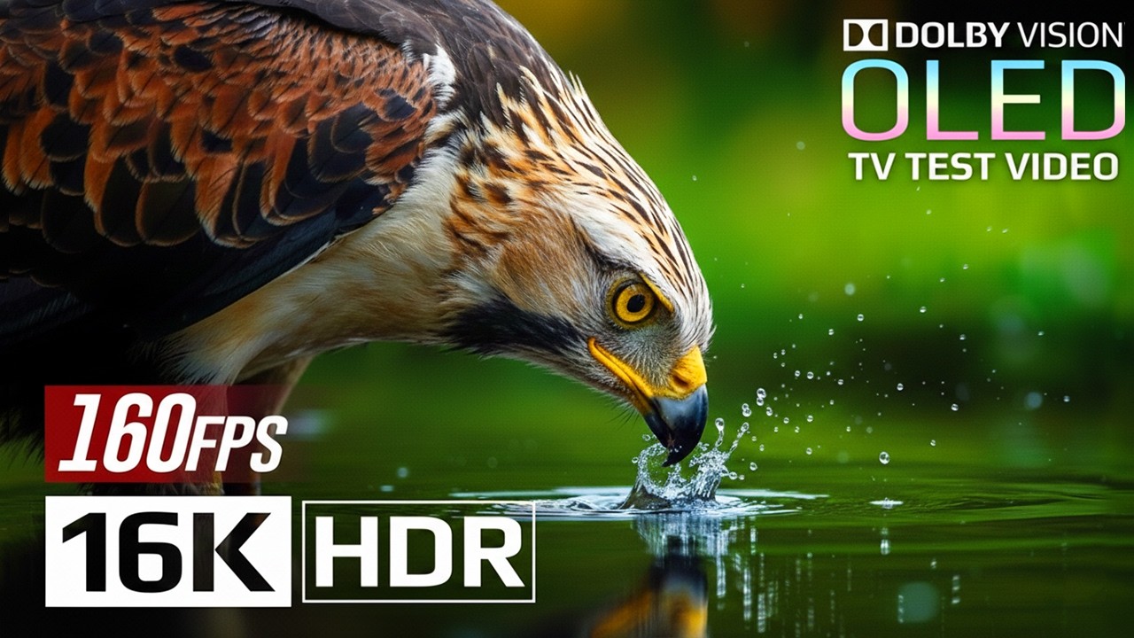 Explore Earth in Breathtaking Landscapes | 16K HDR Dolby Vision with Ultra Clarity 160FPS TV