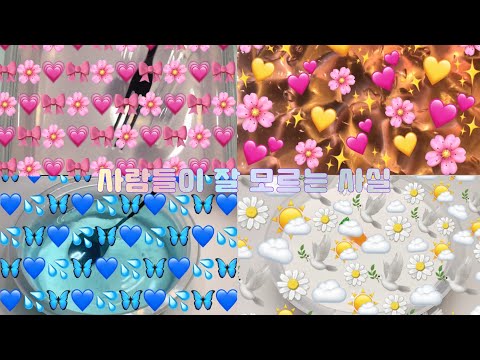 🌷사람들이 잘 모르는 사실 | 믿거나 말거나 | 반모환영 | 설참